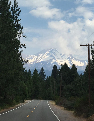 Shasta